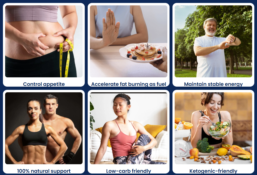 How SodaBurn works - the ingredients that support metabolism and fat burning